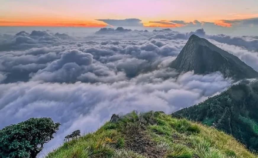 Munnar & Kolukkumalai Treak